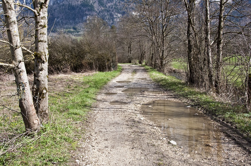 Bank of the river Guiers. Saint-Laurent du Pont (Isère)  