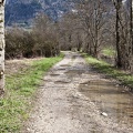 Chemin le long du Guiers mort. Saint-Laurent du Pont (Isère)