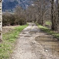 Camino cerca Río Guiers. Saint-Laurent du Pont (Isère) )