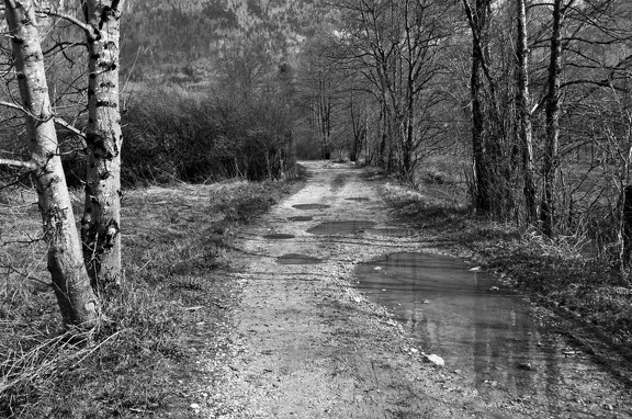 Chemin le long du Guiers mort. Saint-Laurent du Pont (Isère)