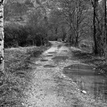 Chemin le long du Guiers mort. Saint-Laurent du Pont (Isère)