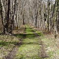 Chemin le long du Guiers mort. Saint-Laurent du Pont (Isère)