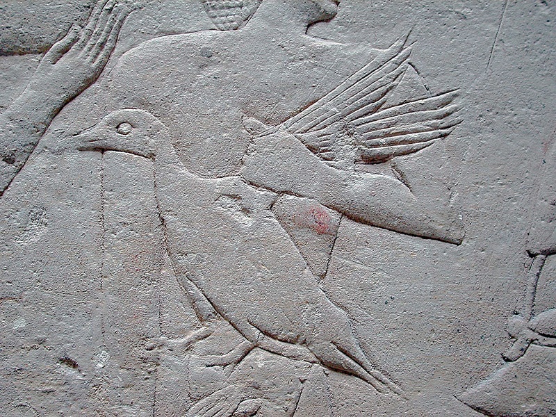 Le mastaba de Mérérouka  à Saqqarah 