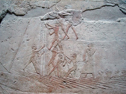 La mastaba de Mereruka. Saqqara