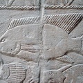 La mastaba de Mereruka. Saqqara