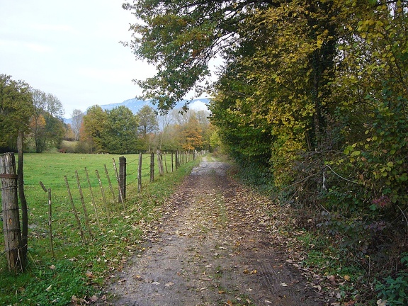 Chemin de campagne