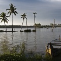   Backwaters (Kerala) 