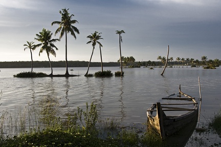 Backwaters (Kérala) 