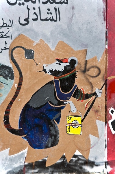Graffiti rue Mahmoud Mokhtar, près de la Place Tahrir, Le Caire 