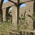 Daher mosque 