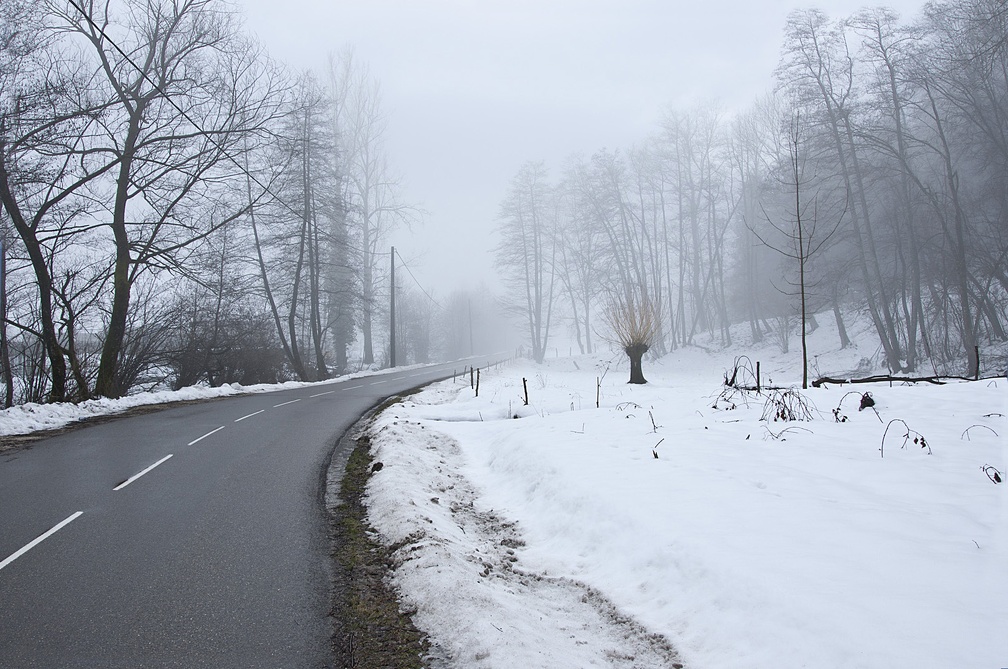 Landscape in the Chartreuse Mountains 