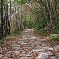 La voie sarde, Aiguebelette-le-Lac 