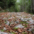 La voie sarde, Aiguebelette-le-Lac 