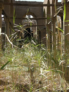 Mezquita Daher 