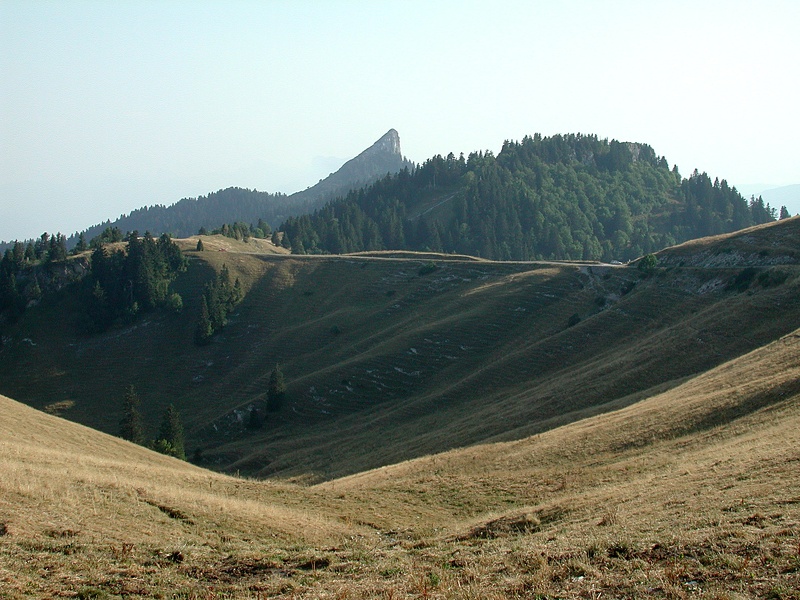  La Pinéa depuis le Charmant Som. Massif de Chartreuse