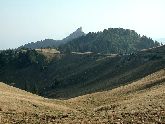 La Pinea. Macizo de la Chartreuse 