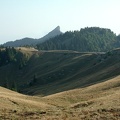 La Pinéa. Chartreuse Mountains 