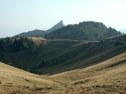 La Pinéa. Chartreuse Mountains 