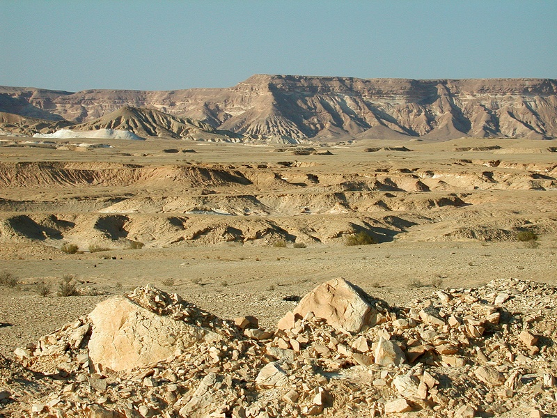 Sinai Desert 