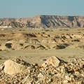Sinai Desert 