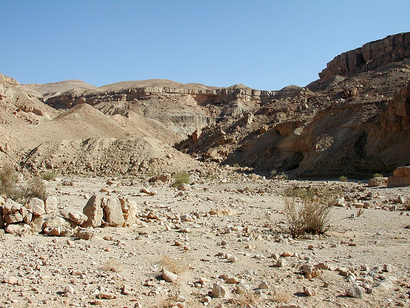 Sinai Desert 