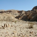 Sinai Desert 