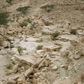 Sinai Desert 