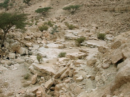 Sinai Desert 