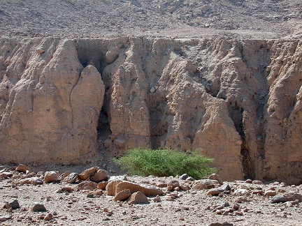 Sinai Desert 