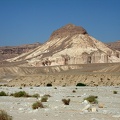 Sinai Desert 