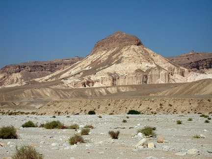 Sinai Desert 