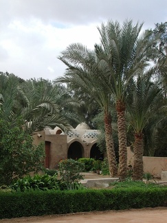   Fayoum  