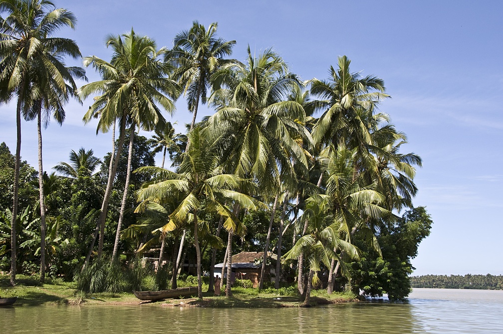 Backwaters (Kerala)