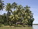 Backwaters (Kerala)