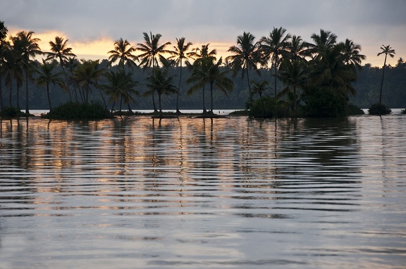 Backwaters (Kerala)