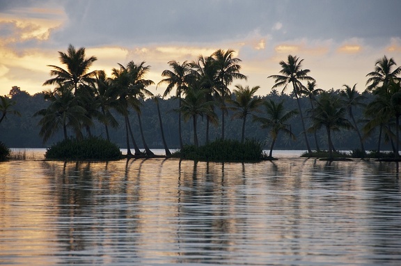 Backwaters (Kerala)