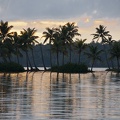 Backwaters (Kerala)