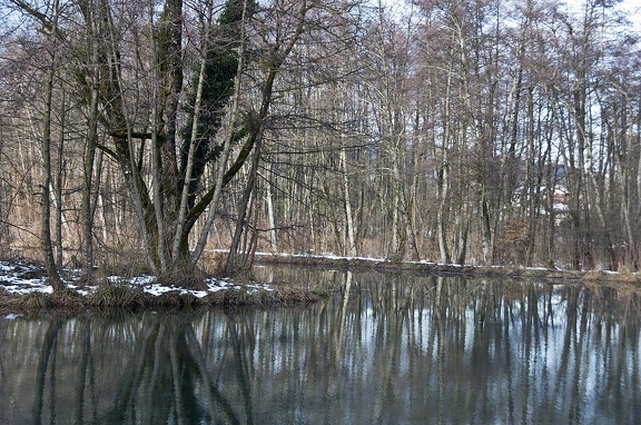 Tourbière L'Herretang, Saint-Joseph de Rivière 