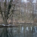 Peat bog. L'Herretang, Saint-Joseph de Rivière  