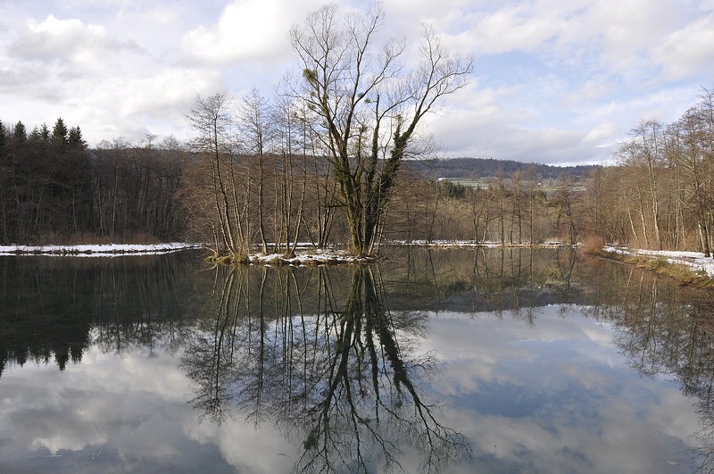 Tourbière L'Herretang, Saint-Joseph de Rivière 