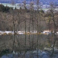 Peat bog. L'Herretang, Saint-Joseph de Rivière  