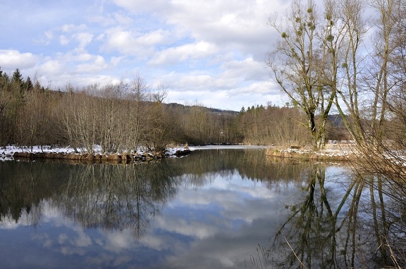 Peat bog. L'Herretang, Saint-Joseph de Rivière  