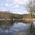 Peat bog. L'Herretang, Saint-Joseph de Rivière  