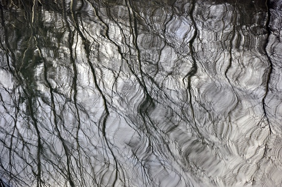 Peat bog. L'Herretang, Saint-Joseph de Rivière  