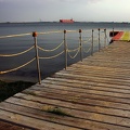 Wood pontoon. Red Sea  