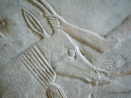 La mastaba de Mereruka. Saqqara