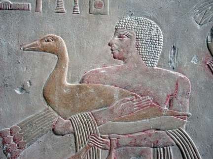The mastaba of Mereruka at Saqqara  