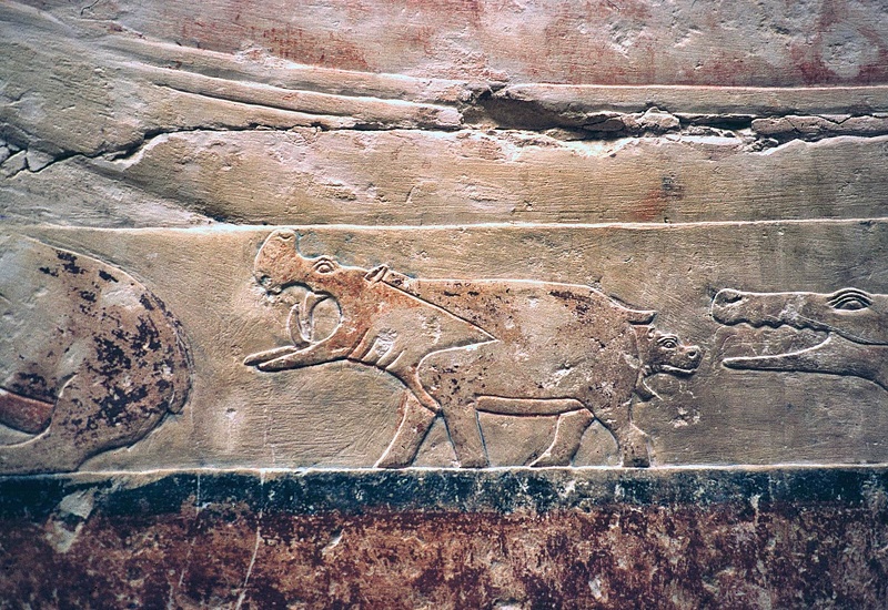 The mastaba of Mereruka at Saqqara  