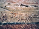 The mastaba of Mereruka at Saqqara  