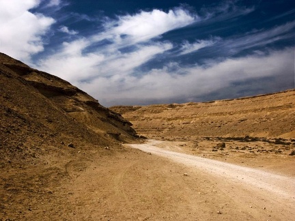 Wadi Degla